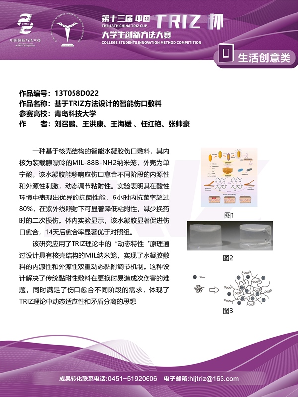 13T058D022_01