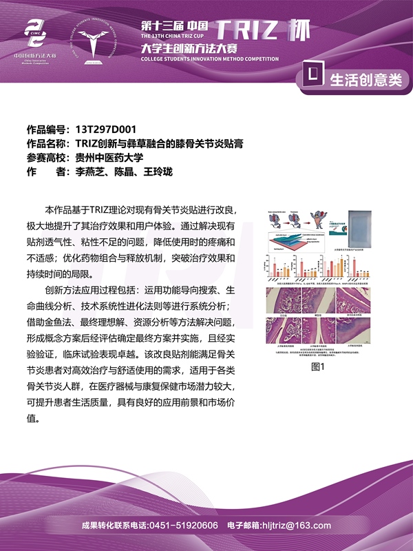 13T297D001_01